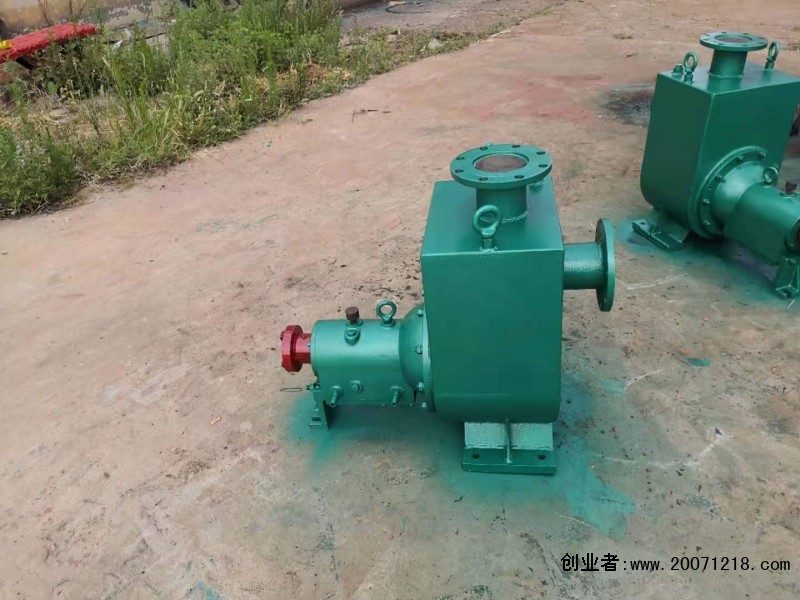 中国河北省沧州渤海油泵实体企业野马f16柴油泵专业可信赖